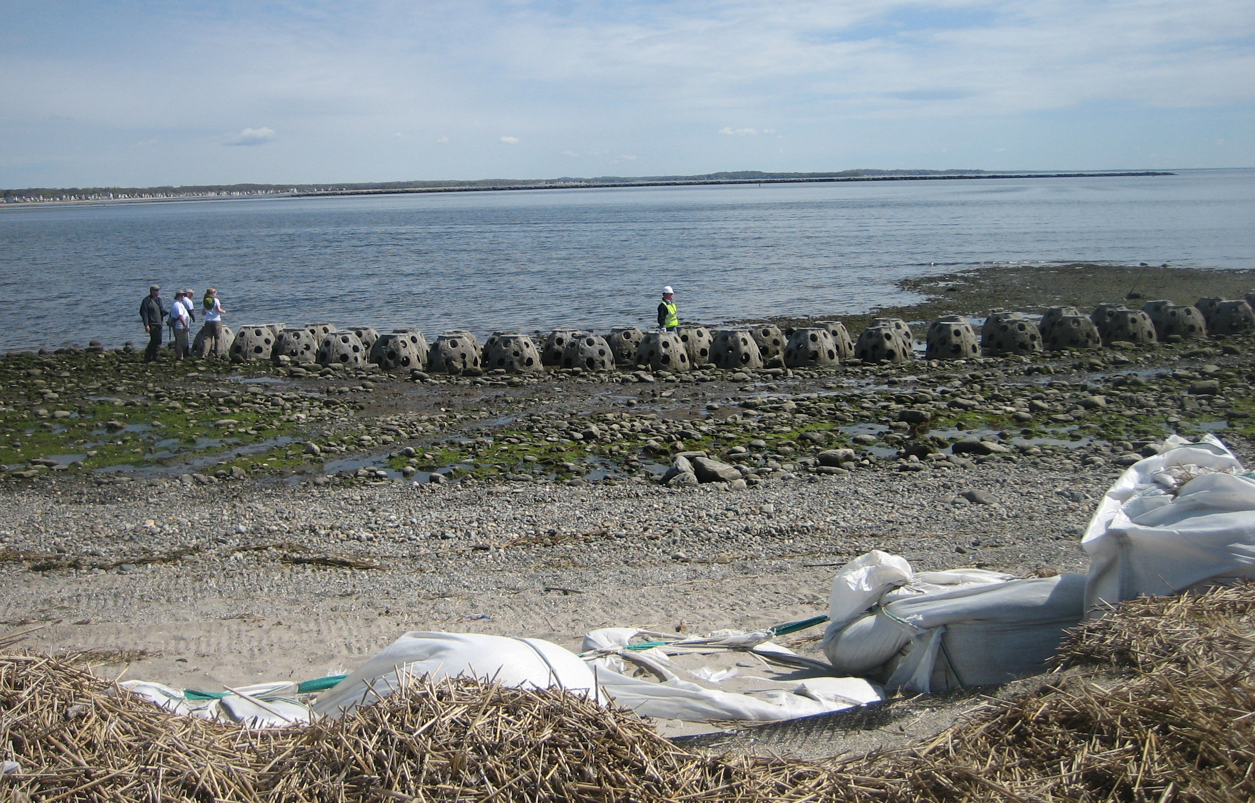 These giant concrete domes, called Reef Balls, could help manage the erosion in Stratford. In the foreground, the damaged dune is visible.