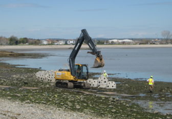 The Reef Balls were placed about 60 feet offshore.