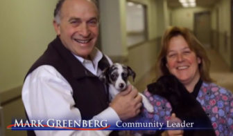 A Greenberg campaign ad showing his involvement with the dog and cat shelter he founded with his wife.