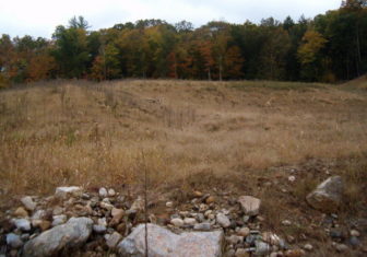 A former gravel excavation area in Oxford along Route 34 where the Southwest Conservation District has succeeded in getting vegetation to root.