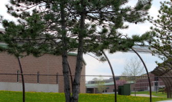 The Connecticut Juvenile Training School in Middletown, a locked jail for young males that break the law.