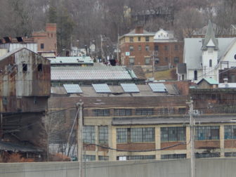Ansonia