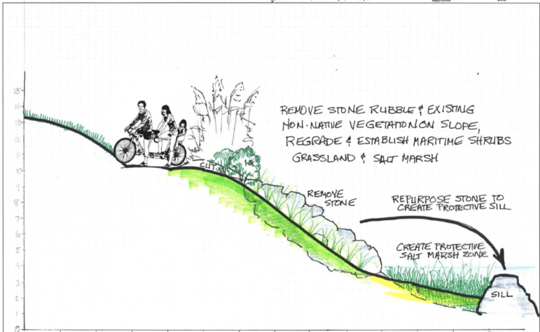 Schematics of living shorelines for East Shore Park