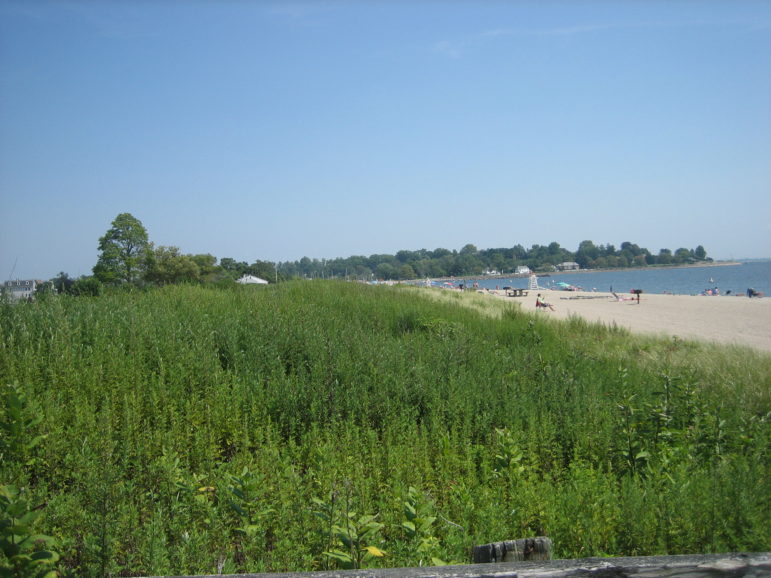 An existing beach berm