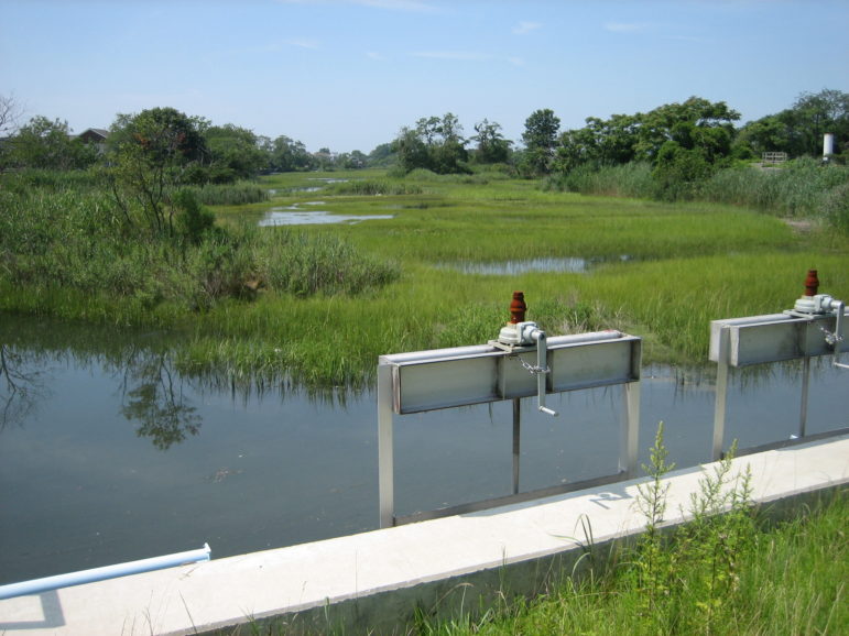 Tide gates at Pine Creek in Fairfield