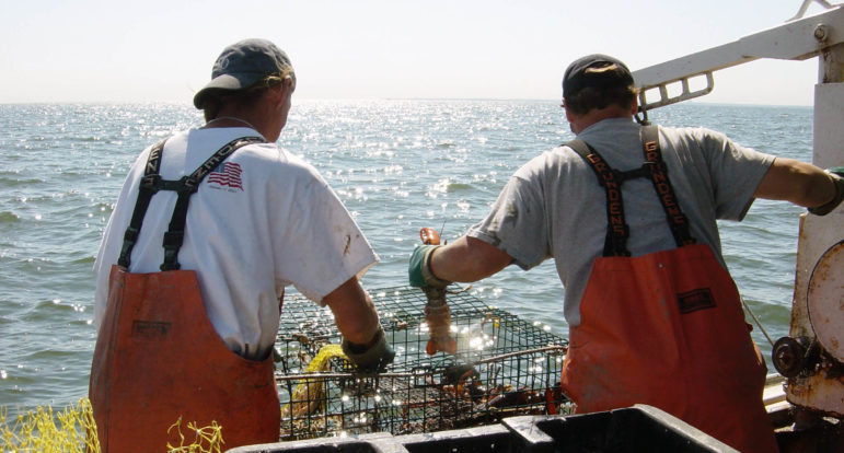 Lobstering is still done in Long Island Sound, though there are far fewer lobsters. Warming water due to climate change has shifted the lobster population about 200 miles north to the Gulf of Maine.