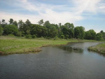 The view from a Metro-North train shows some of the salt marsh that runs for miles along the rail corridor from the Saugatuck River nearly to Fairfield. The concern is that as sea levels rise water could inundate the track permanently.
