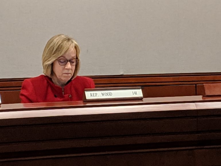 Rep. Terrie Wood R-Darien spoke out strongly in a favor of a bill that would enable legislators to stop a plan to merger the state's 12 community colleges.